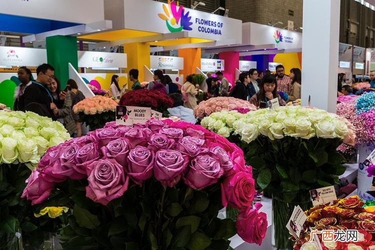 2019北京花卉展览地址 19届国际花卉园艺展览会
