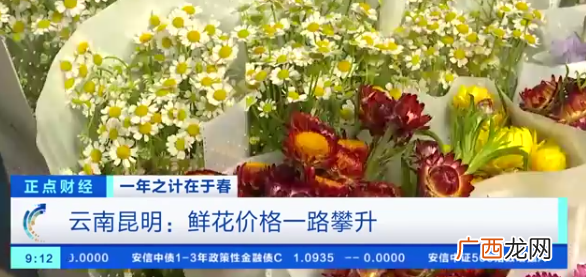 昆明斗南花卉市场鲜花批发价格 云南省斗南鲜花卉今天价格