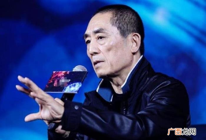 导演冯小刚,张艺谋、冯小刚这些专业导演的票房