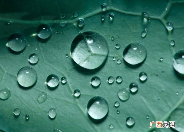 14张唯美雨景图片 春雨图片唯美