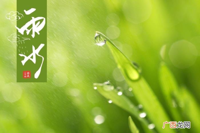 14张唯美雨景图片 春雨图片唯美