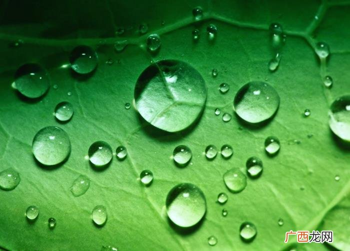 14张唯美雨景图片 春雨图片唯美