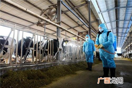 畜禽屠宰检疫实施方案 种畜禽调运检疫技术规范