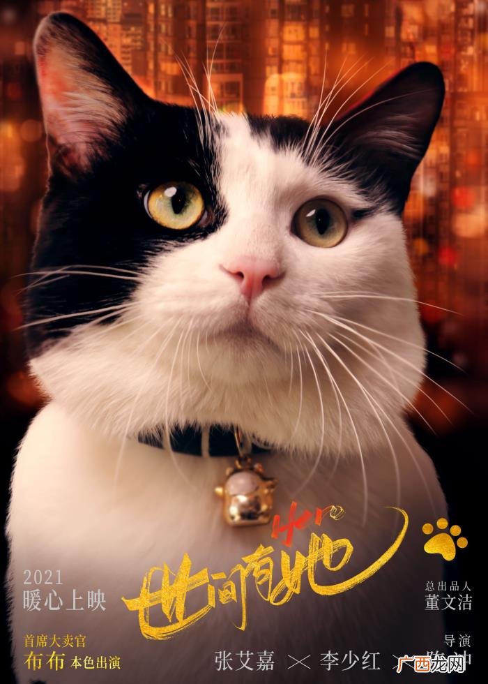 世间有她在哪里能看，世间有她