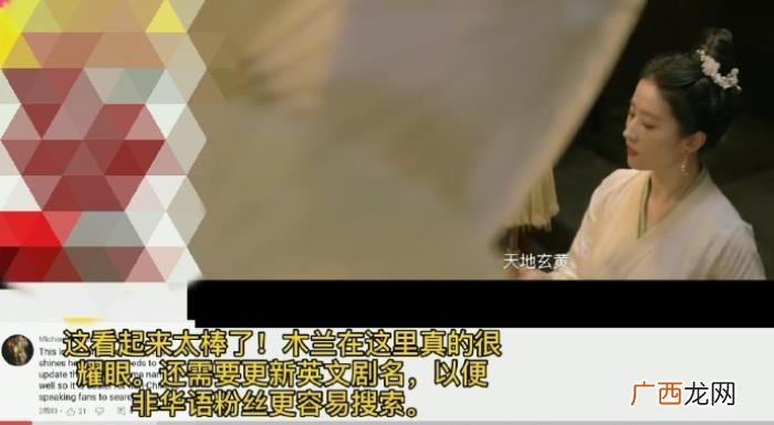刘亦菲的人物评价，看看外国网友对刘亦菲的评价就知道