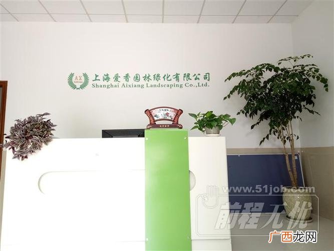 绿植花卉图片 上海花卉绿植租赁