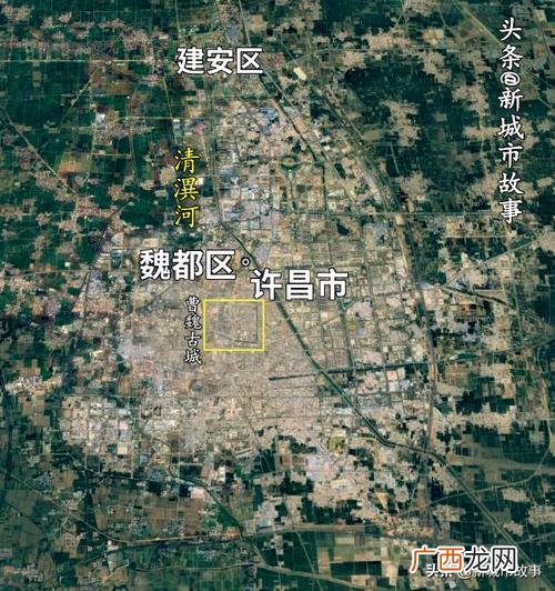 中国花卉产业发展现状 2016年中国花卉进出口