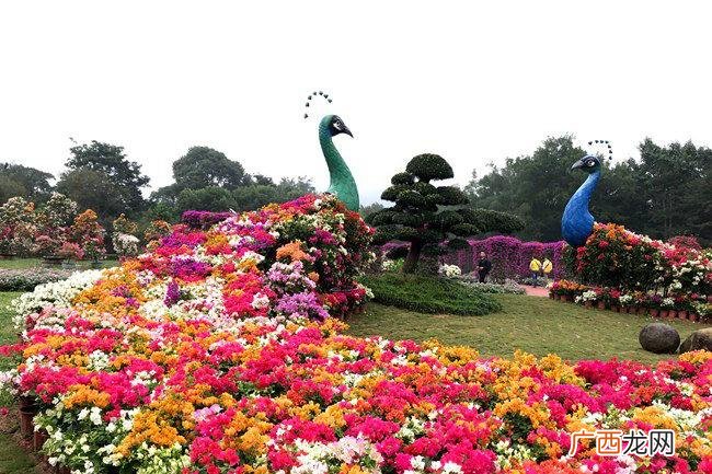 花展创意造型 有关花卉展的新闻
