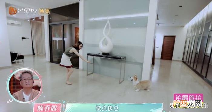 陈乔恩结婚了吗老公是谁，陈乔恩疑似将结婚