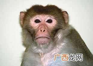 什么叫克隆人？克隆技术有什么好处，快来涨姿