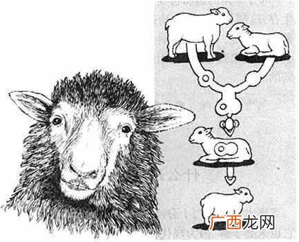什么叫克隆人？克隆技术有什么好处，快来涨姿