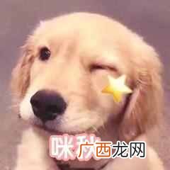 什么是假声男高音唱法（假声和真声的区别在哪