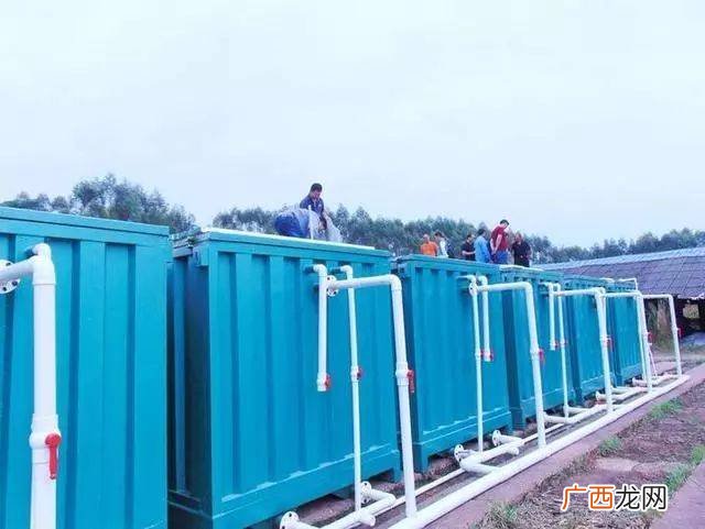 鸡养殖技术 立体养殖新技术