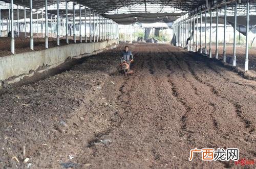 怎样养蚯蚓视频 蚯蚓最新养殖技术