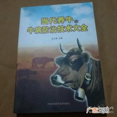 牛病大全牛病防治技术 牛病的常用治疗技术ppt