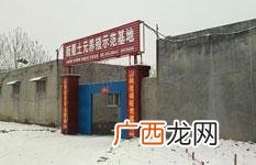 野生土元 土元技术培训