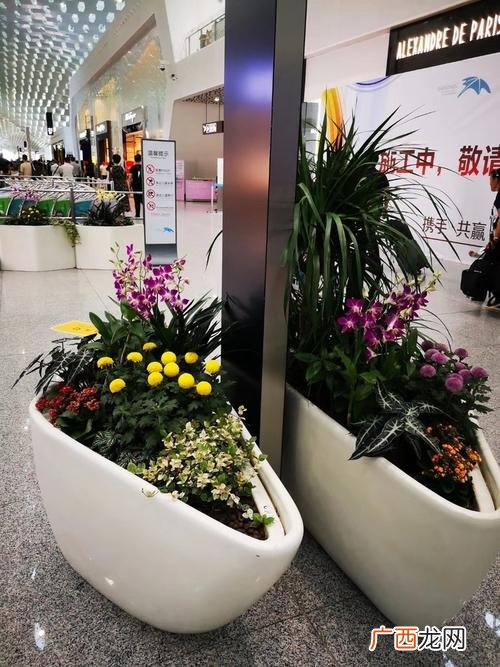 绿植花卉租赁租摆公司 信赖的花卉租赁公司