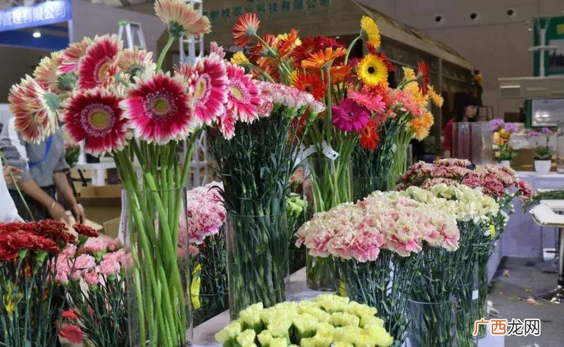 鲜花保养大全,怎样保养鲜花 花卉零售保养