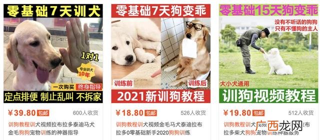 普通人如何月入一万 暴利小项目