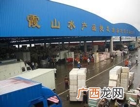 甲壳类水产品有哪些 冷冻水产品网址