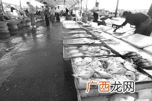 甲壳类水产品有哪些 冷冻水产品网址