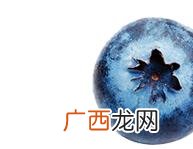 个体工商户怎么交税 网上个体户注册流程app