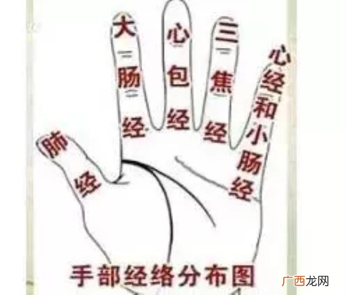 手上1个点=2种药 手上失眠点图