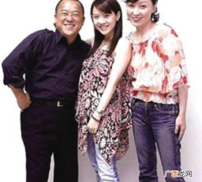 48岁曾宝仪未婚未育 曾宝仪结婚了么