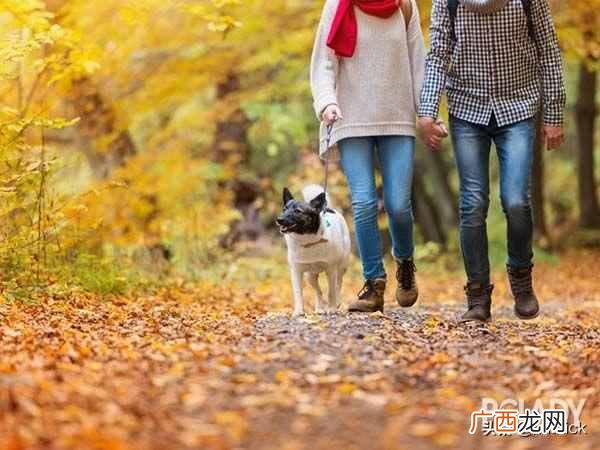 男朋友过生日送什么礼物实用又好（男生最渴望