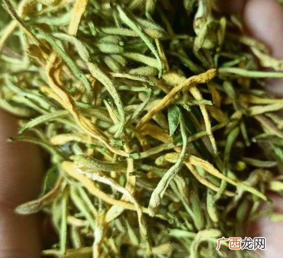 免费提供中药材种苗种植,种什么药材省事又赚钱
