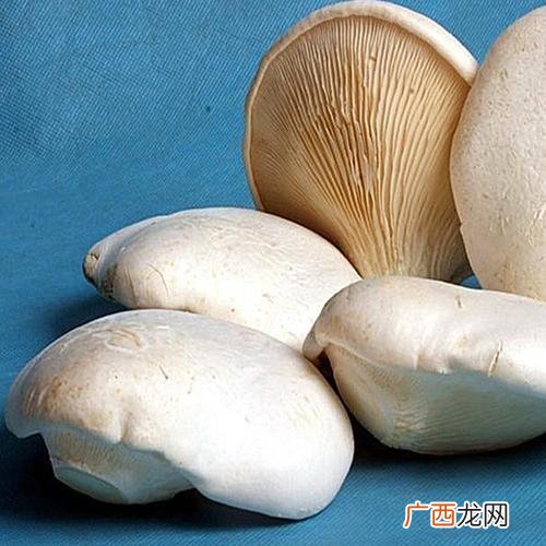 人工养殖大雁会飞走吗 人工养殖的菌内有那些