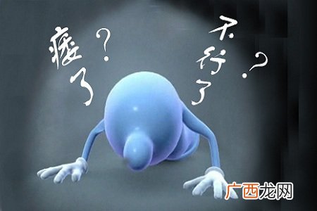 男性阳痿吃什么食物?枸杞可有效治疗