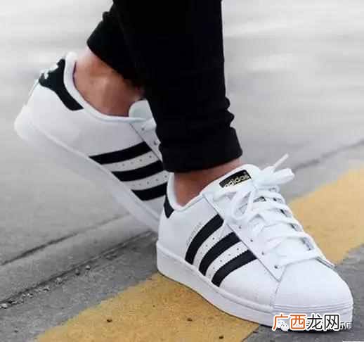 帆布鞋品牌推荐 帆布鞋什么牌子好