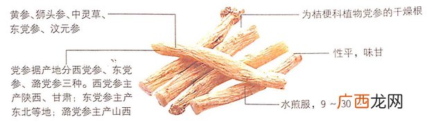 党参的功效作用用于气血不足者