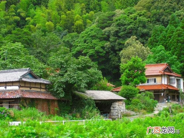农村干什么行业能挣钱 农村赚钱新行业
