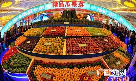 雷公马是几级保护动物 海南坡马养殖技术