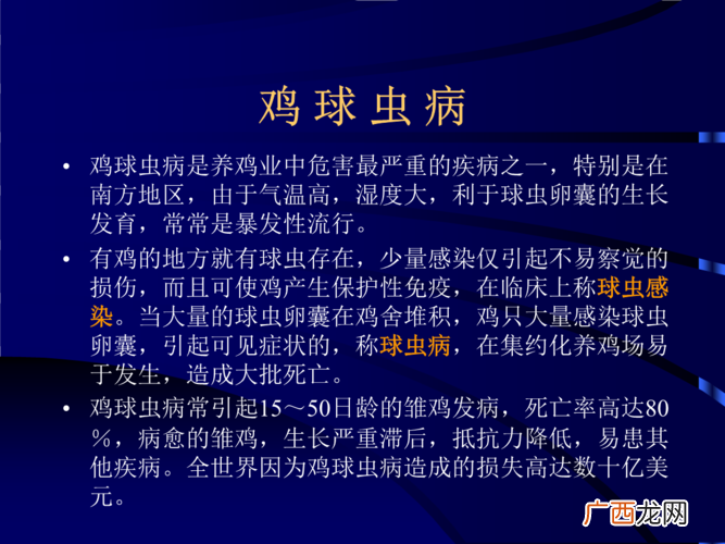 常见病的症状及治疗 春季家禽常见病预防技术