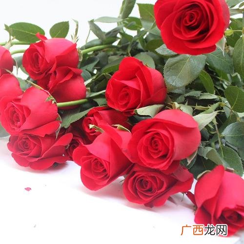 花卉交易吧 花卉交易网站有哪些