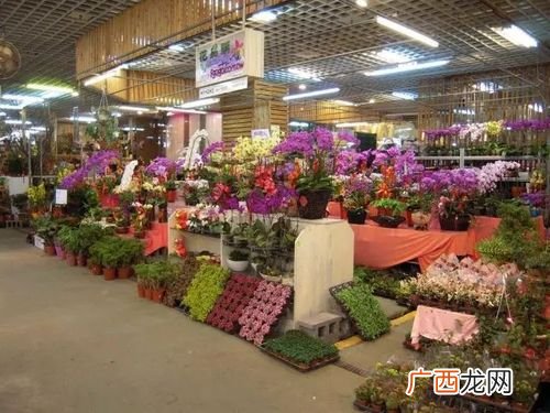 花卉交易吧 花卉交易网站有哪些