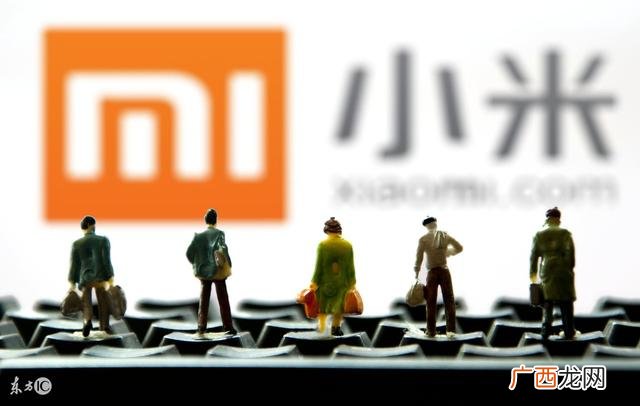 大学生创新创业策划书 创业应从农村开始