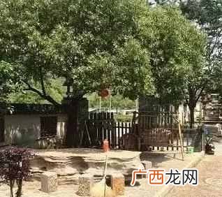 农村创业项目 农村做什么生意赚钱