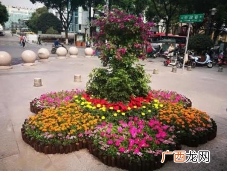 绿植租摆报价表单2019 成都花卉租摆报价表