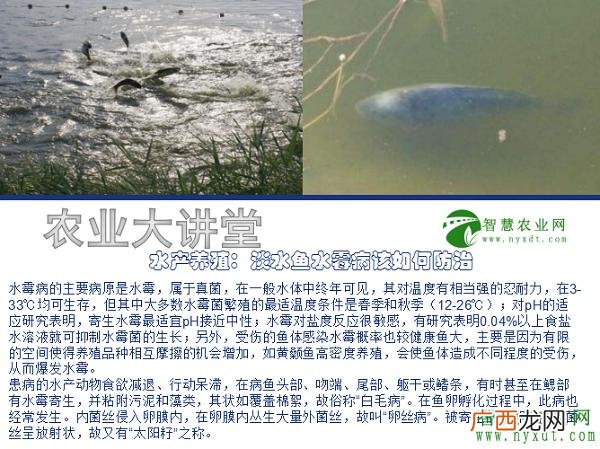 儿童细菌和病毒的区别 细菌和病毒水产