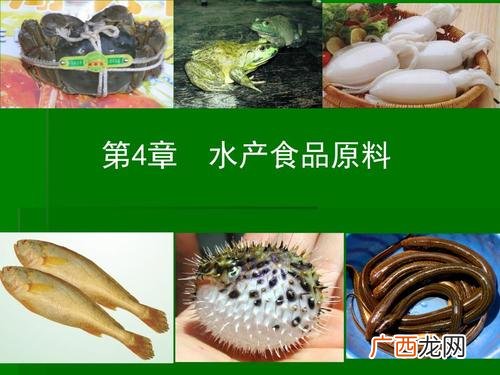 儿童细菌和病毒的区别 细菌和病毒水产