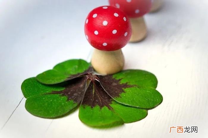 50句诗词帮你提升功力 新年祝福诗词