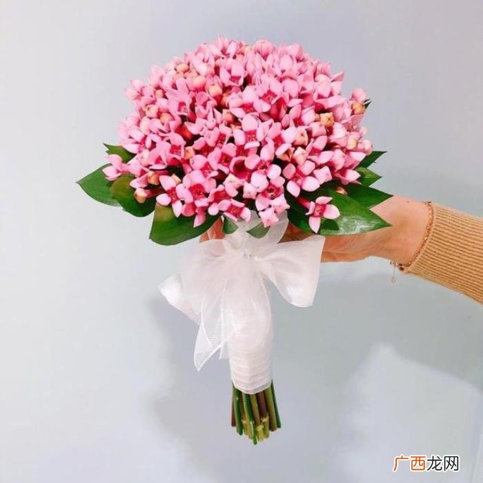 母亲节赞扬母爱祝福词 赞美母亲的句子