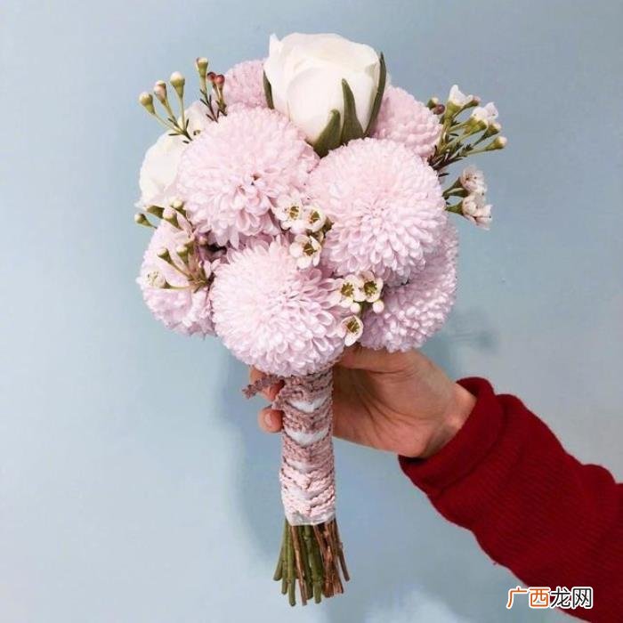 母亲节赞扬母爱祝福词 赞美母亲的句子
