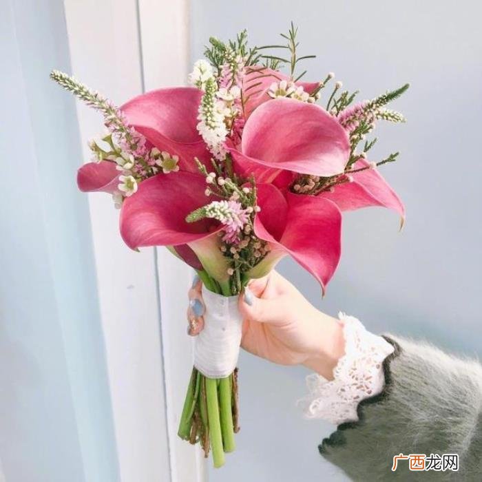 母亲节赞扬母爱祝福词 赞美母亲的句子