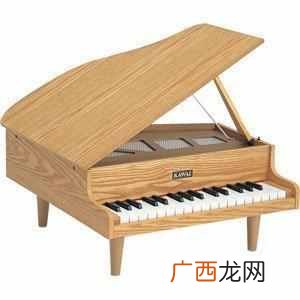 国产电钢琴什么牌子好（性价比最高的十大电钢