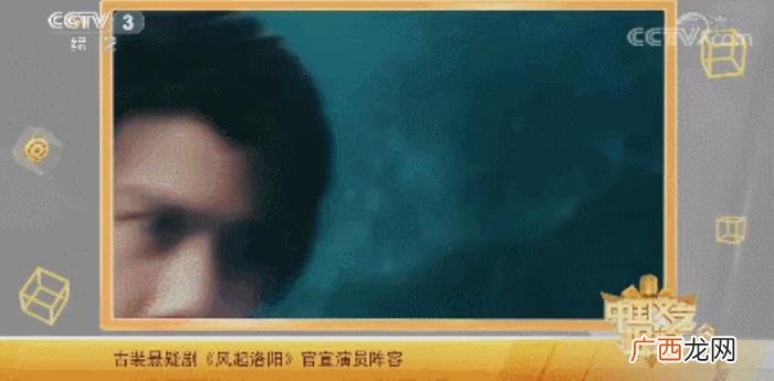 风起洛阳播出时间表，风起洛阳